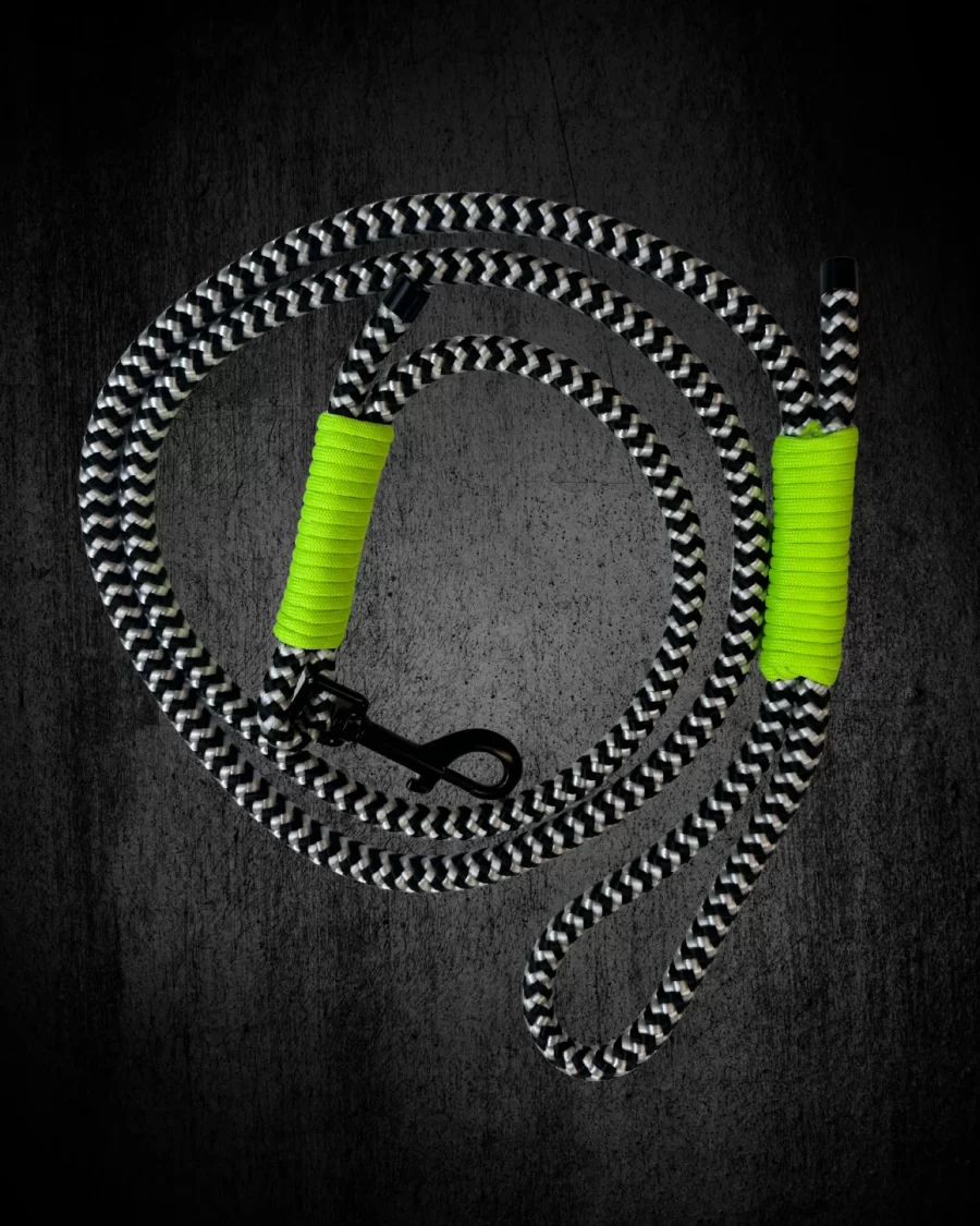 Beetlejuice Inspired Rope Lead