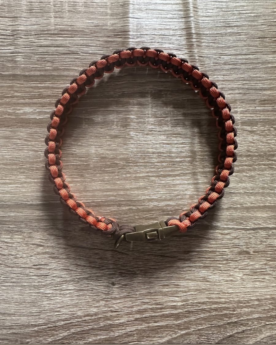 Barney Classic House Collar - Autumn Edition