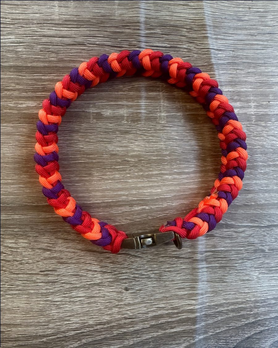 Sir Barney Fancy House Collar