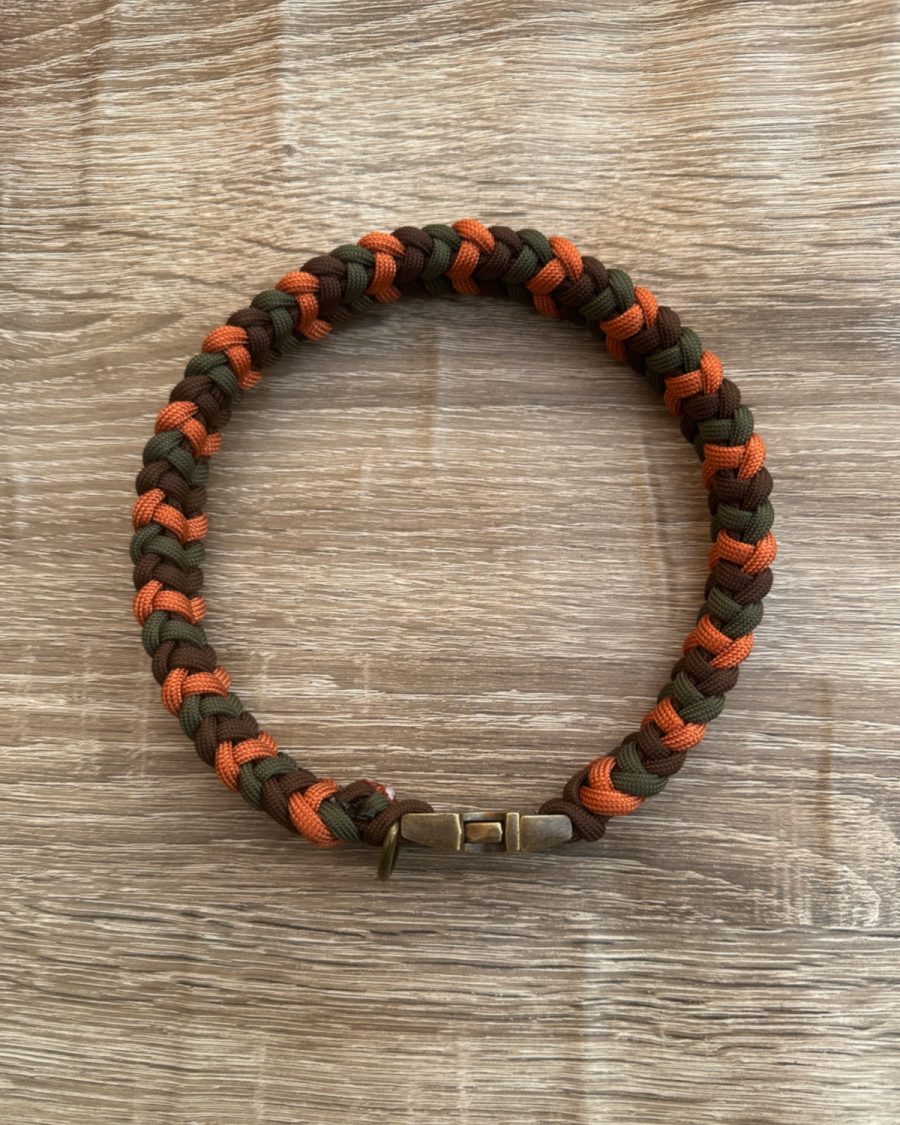 Sir Barney Fancy House Collar - Autumn Edition