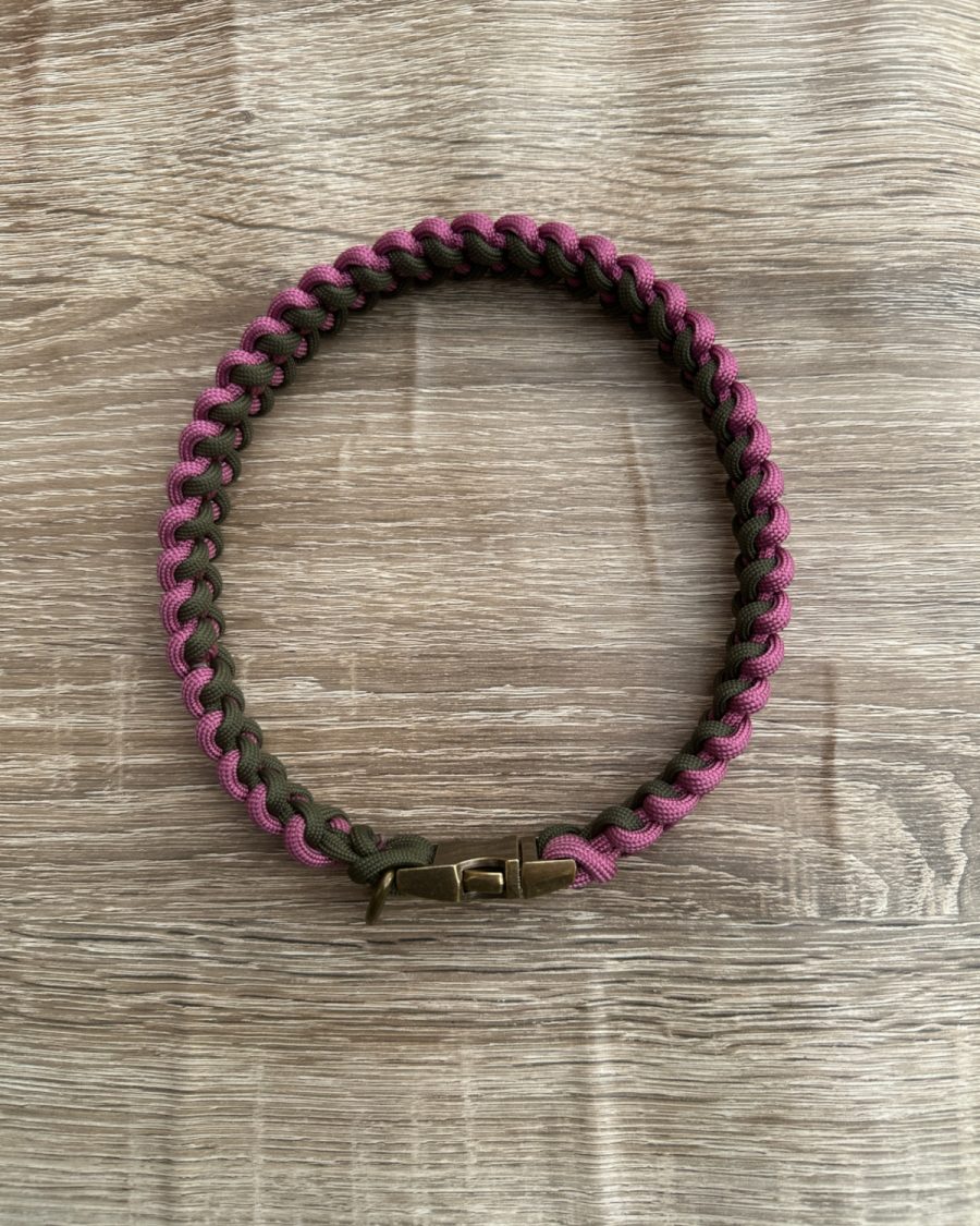 Barney Luxe House Collar - Autumn Edition