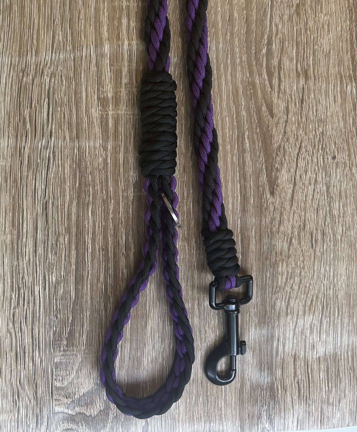 The Paracore - Image 2