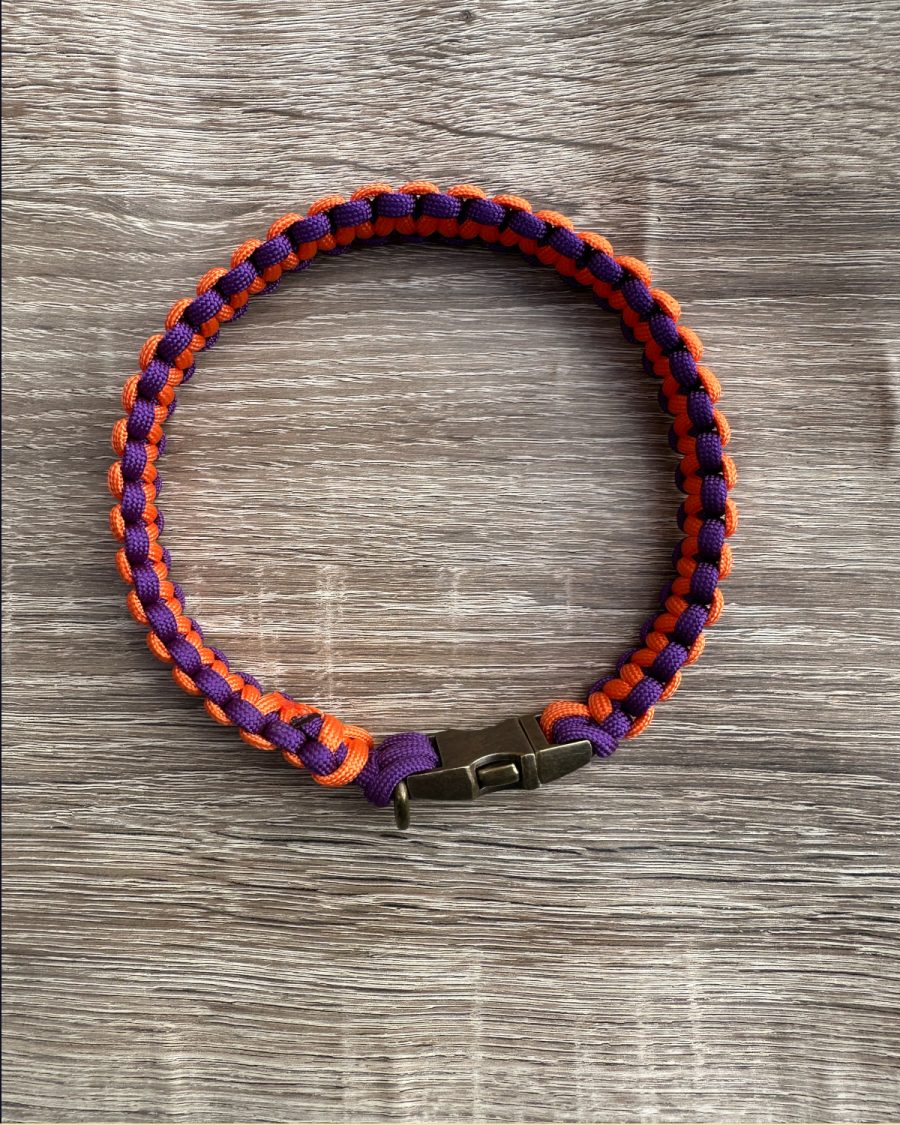 Barney Classic House Collar - Standard Colours