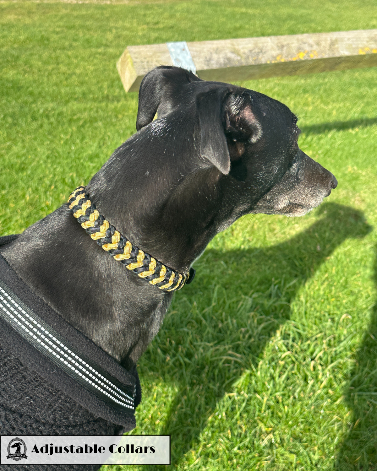 Sir Barney Adjustable House Collar - Image 4