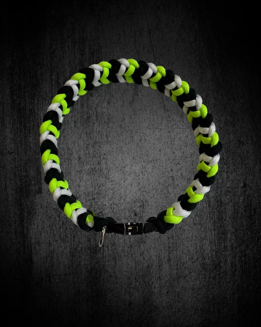 Sir Barney Beetlejuice Inspired Collar