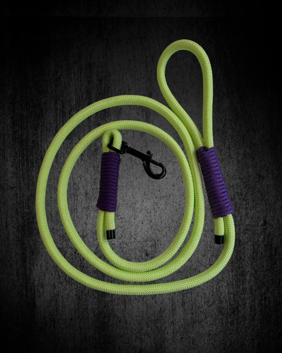 Glow in the Dark Rope Lead