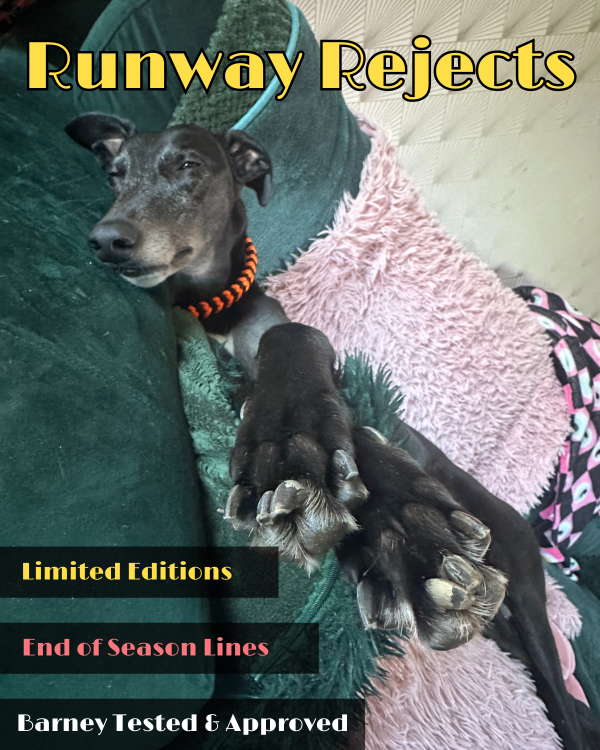 Barney's Runway Rejects