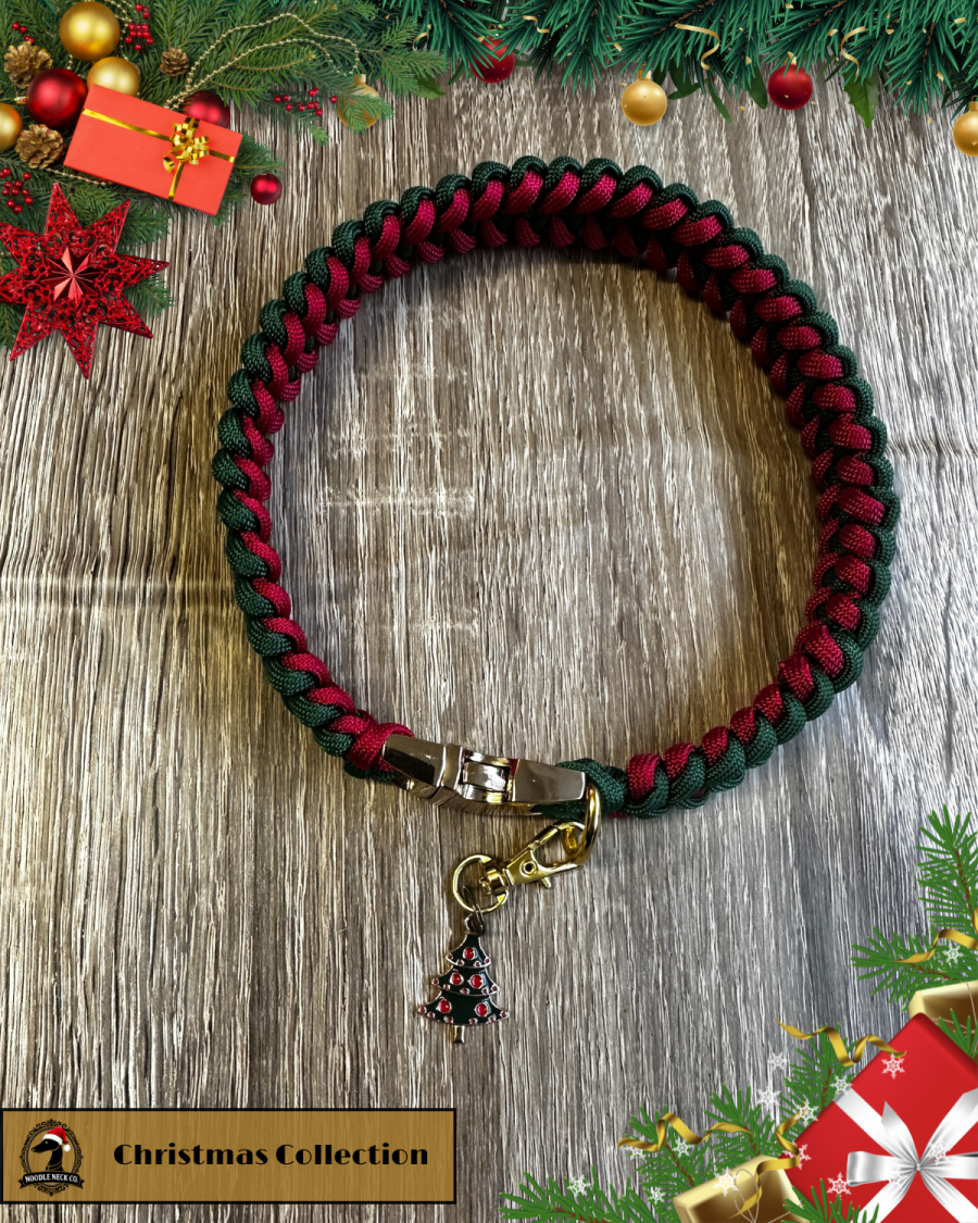 Barney Luxe house Collar - Winter Edition