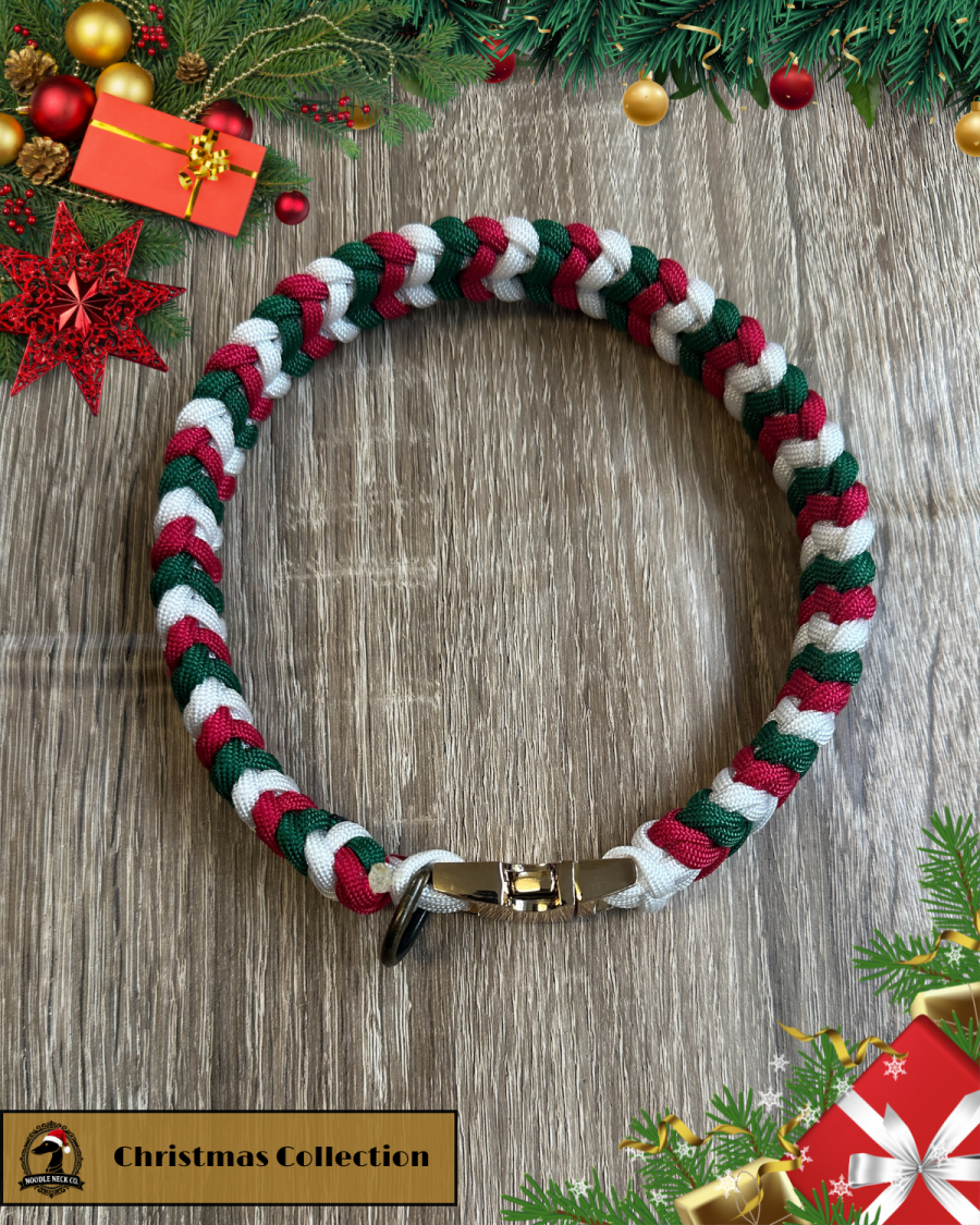 Sir Barney - Winter Edition