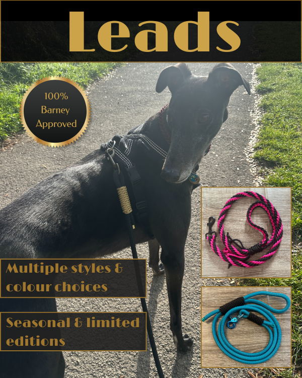 Leads
