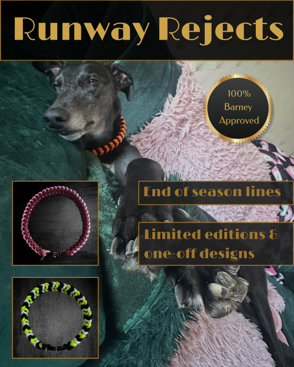 Barney's Runway Rejects