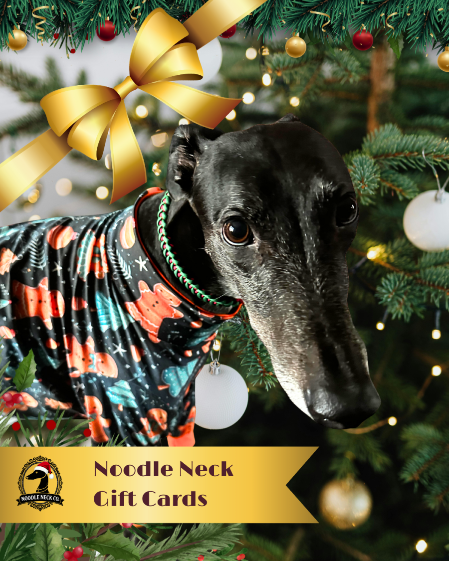 Noodle Neck Gift Card