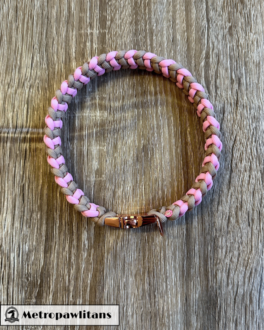 Sir Barney Puppuccino Patrol Collar