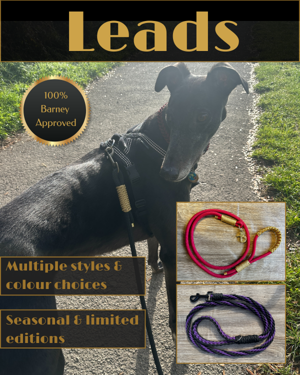 Leads