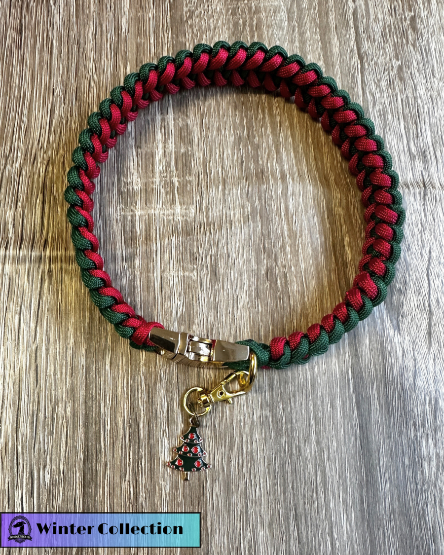 Barney Luxe house Collar - Winter Edition