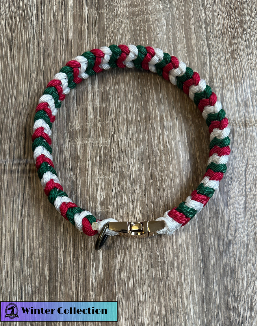 Sir Barney - Winter Edition