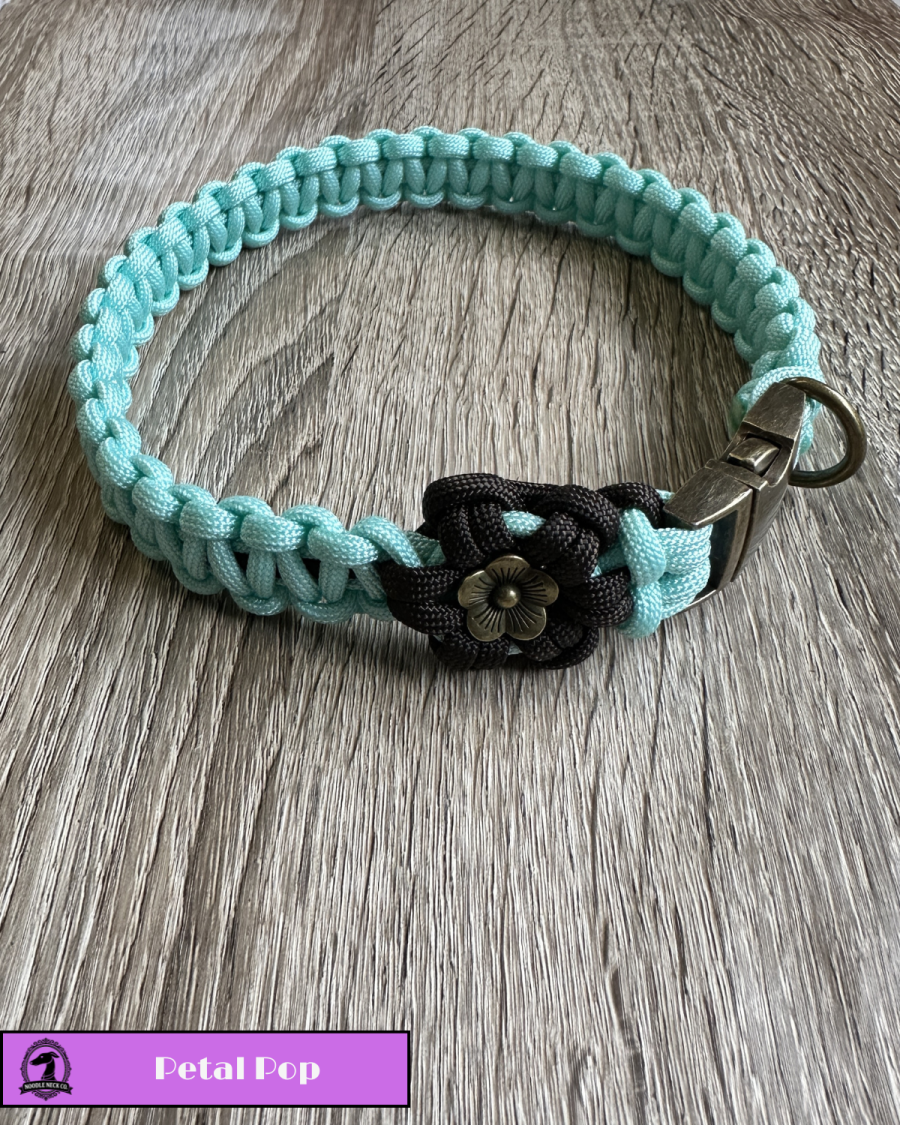 Petal Pop Classic Tag Collar