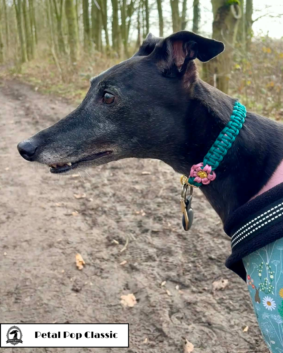 Petal Pop Classic Tag Collar - Image 3