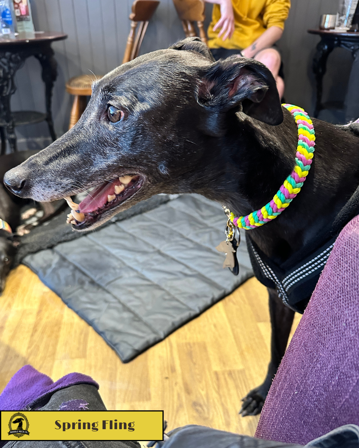 Spring Fling - Limited Edition Collar - Image 2