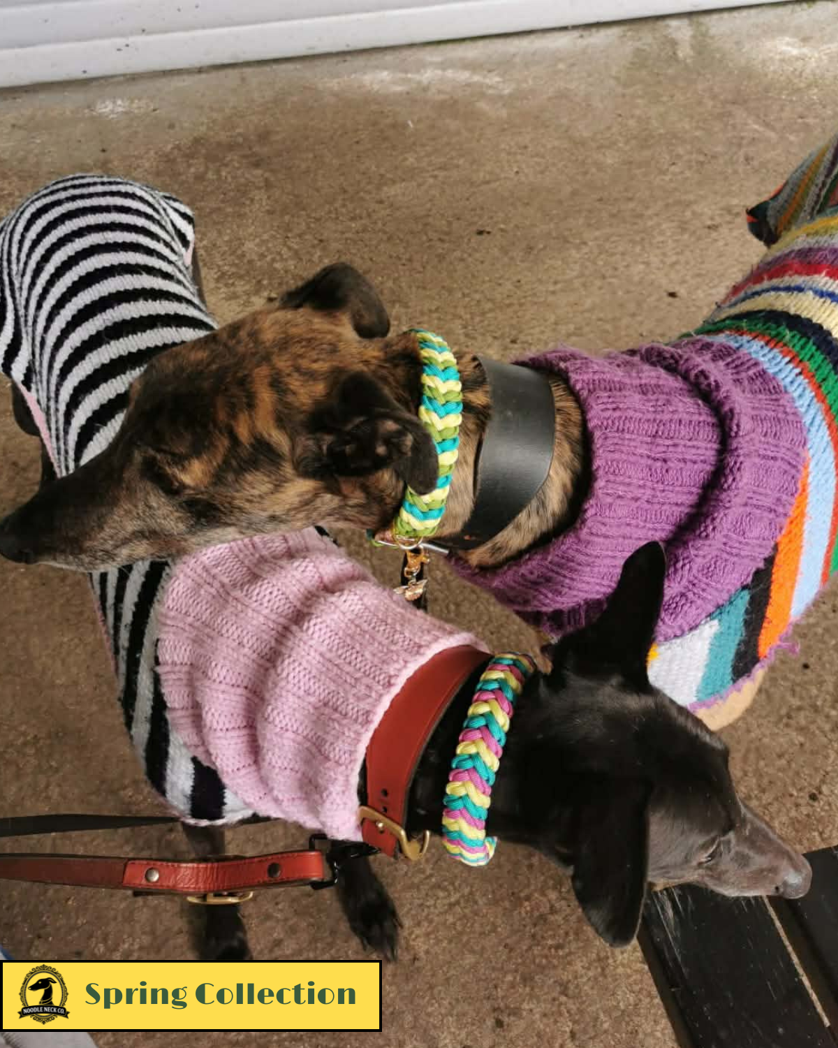 Sir Barney - Spring Edition - Image 4