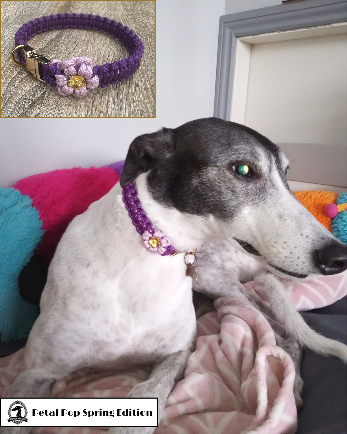 Petal Pop Tag Collar- Spring Edition - Image 4