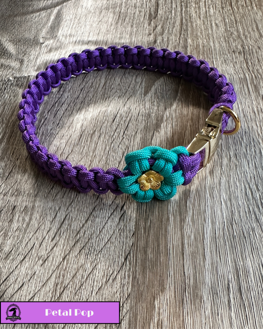 Petal Pop - Spring Edition