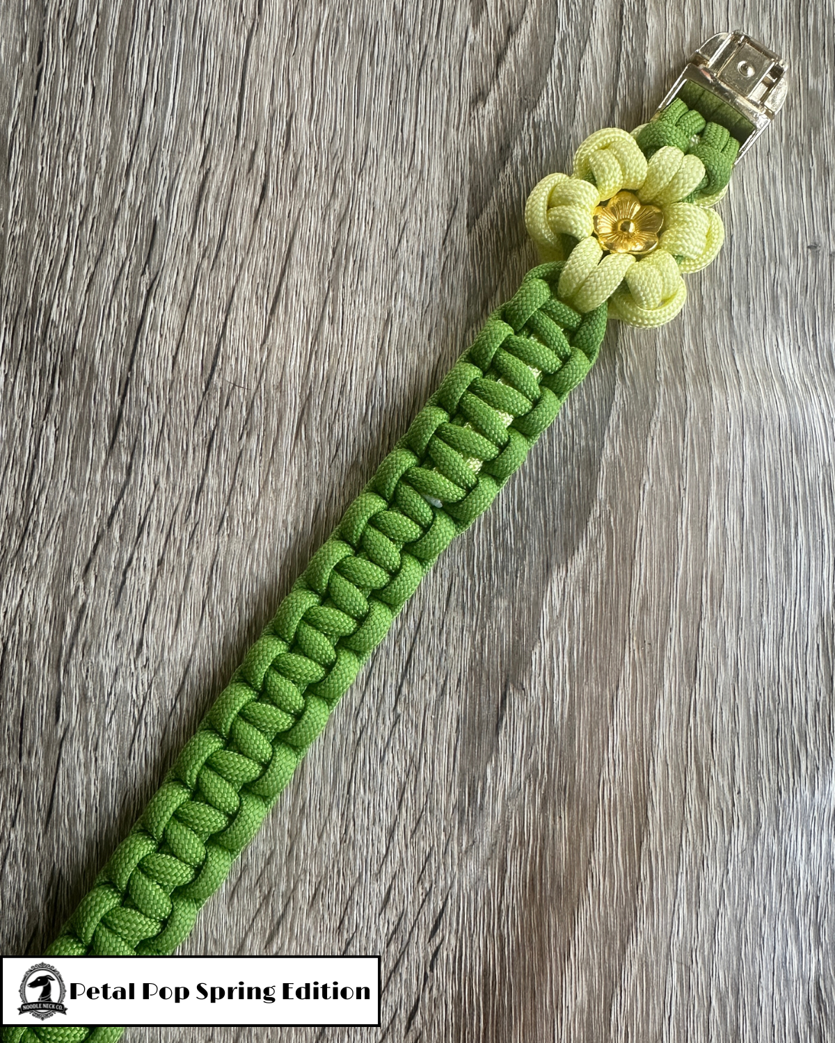 Petal Pop Tag Collar- Spring Edition - Image 3