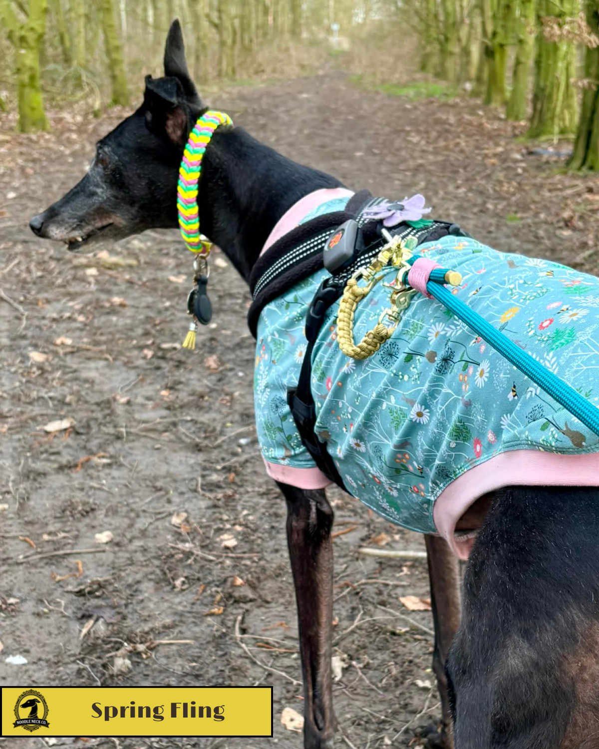 Spring Fling - Limited Edition Collar - Image 3