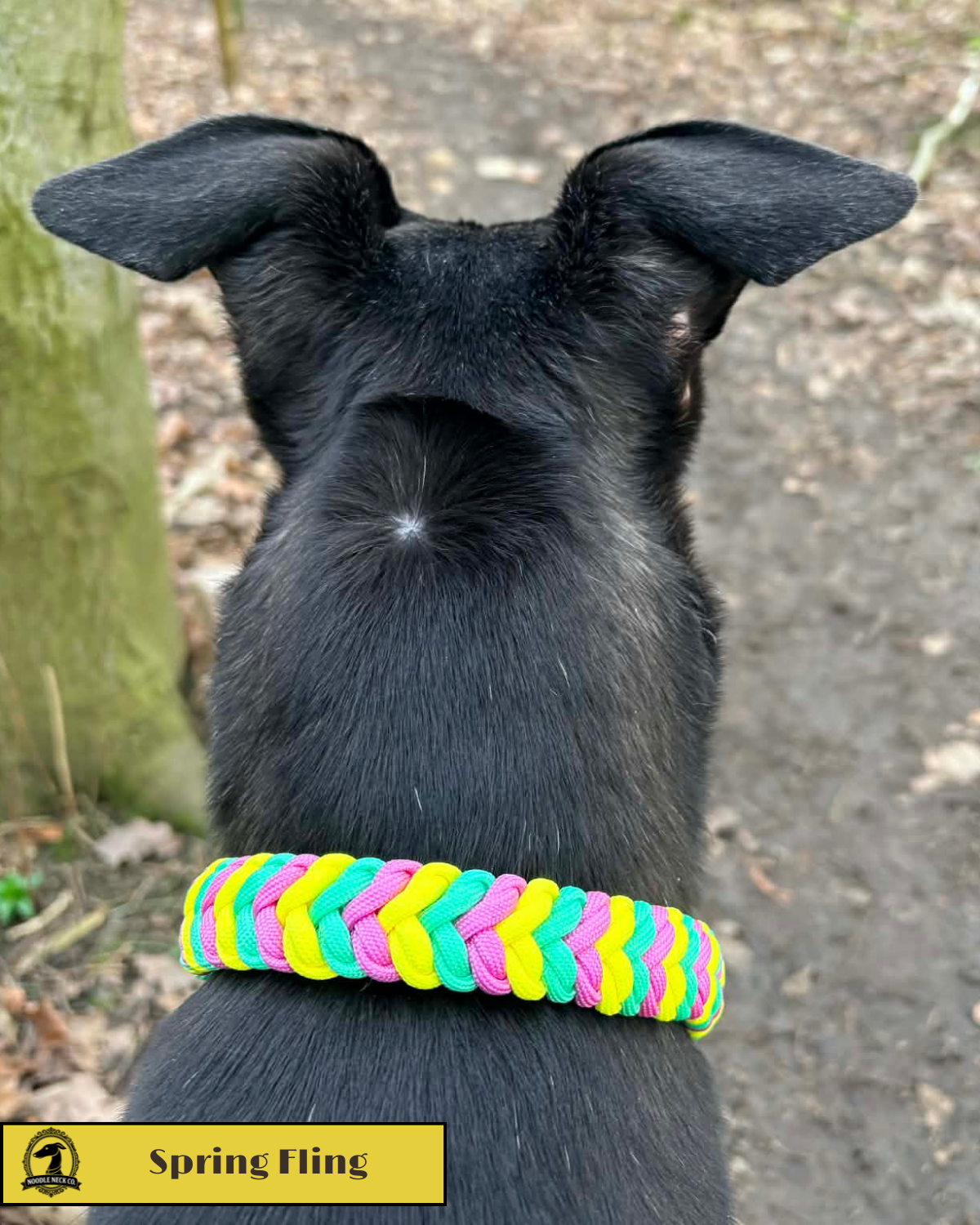 Spring Fling - Limited Edition Collar - Image 2