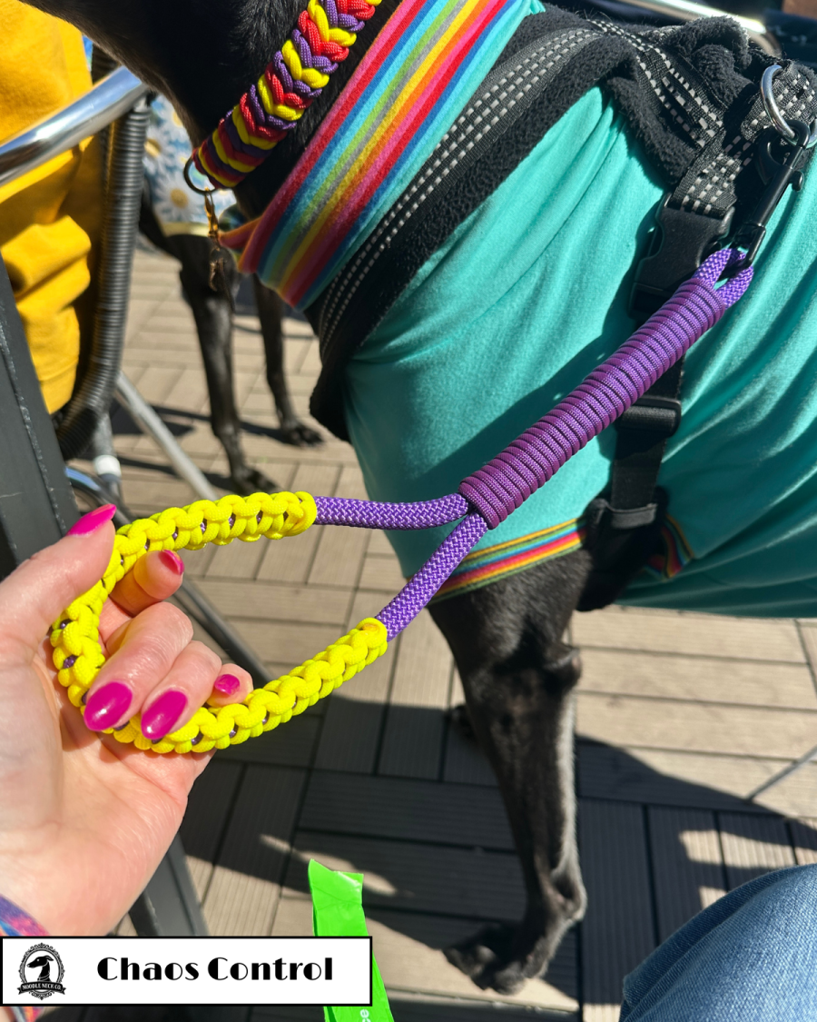 Colour Pop Chaos Control Handle