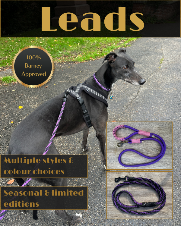 Leads